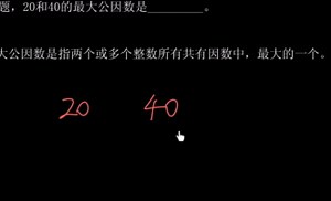最大公因数示例 (视频)