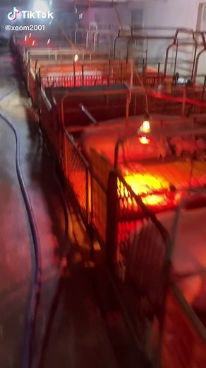 Phạm Văn Huy trên TikTok