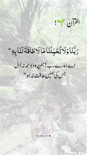 Understanding the Course of Islamic Teachings