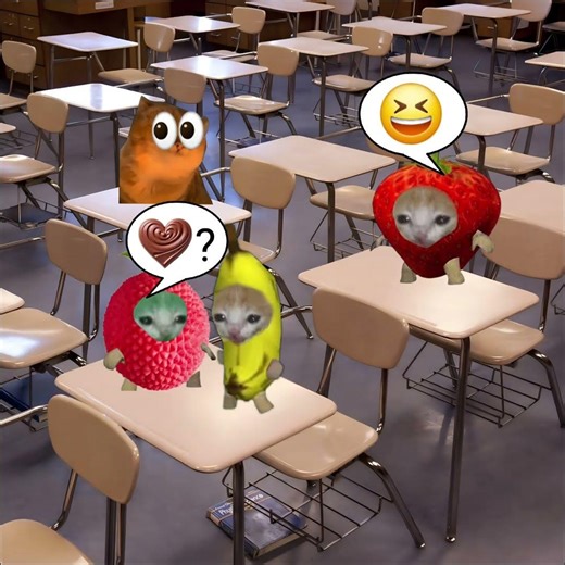 Chocolate Day Celebration! Litchi Cat Gifts a Chocolate😺❤️ #catmemes #cat #shorts #fyp #bananacat