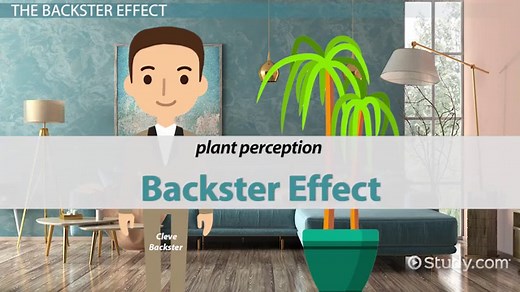 Backster Effect Definition, History & Influence