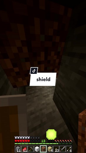 bedrock shield #sanefrog #minecraft #gamingontiktok #gaming #bedrock #minecraftbedrock #minecrafttok #minecraftdaily #gamingtok #minecraftbut