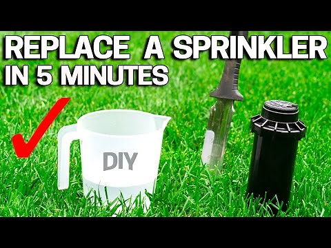 Replace SPRINKLER HEAD in 5 Minutes - Rainbird - Hunter - Orbit