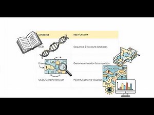 Bioinformatics course | Part 1: Introduction to bioinformatics