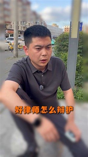 好律师怎么辩护