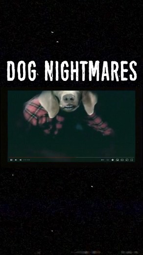 Dog Nightmares Full Video on YouTube #dognightmares #scaretheater