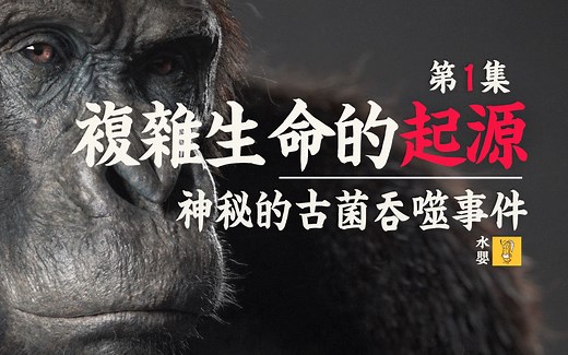 揭开高级生命演化的秘密 【复杂生命的起源-第一集】【自制生物纪录片by水婴】_哔哩哔哩_bilibili