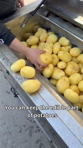 #brushpen #peeling #machinery #potato #machinery #foodprocessingequipment #potatoess#food