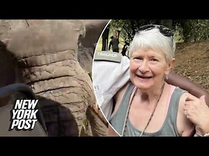 American tourist killed after elephant rams truck on African safari seen smiling before attack