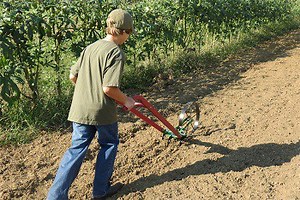 Hoss Wheel Hoe Reviews (Top Picks for 2025)