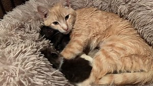 861K views · 125K reactions | Family ❤️ Arnie, May and mama Cherry....