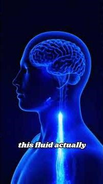 The Science of Kundalini: What Happens to Your Brain?