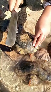 19K views · 94 reactions | Overload ang sand  sarap kialawin  | Julie Ann Lanterna Cosip | Facebook