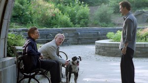 The best films of the year 2002