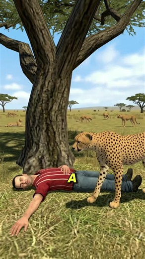 Dolph Volker is a zoologist, wildlife advocate, and photographer known worldwide as the