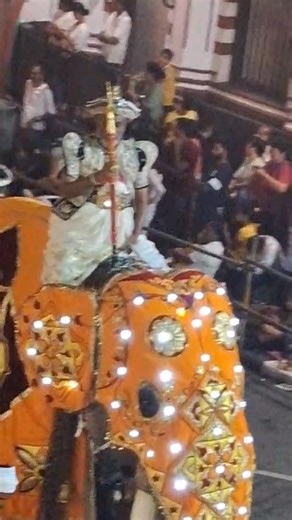 Kandy Esala Perahera – Sri Lanka’s Grand Festival of Faith and...