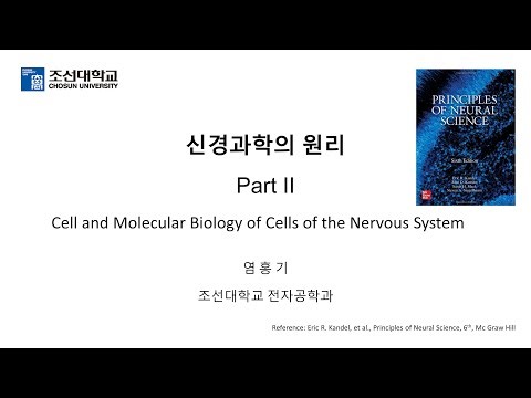신경과학의 원리 (Principles of Neural Science) Part 2