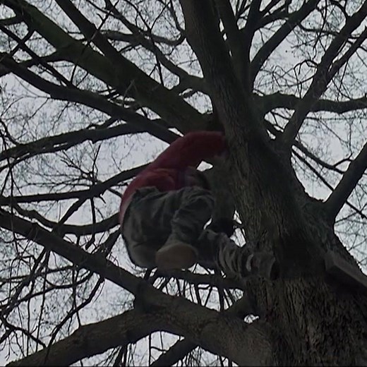 174K views · 979 reactions | This year is the 25th anniversary of the movie "Groundhog Day," which was released on February 12, 1993 | CNN | Facebook