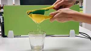 Lemon Squeezer Manual