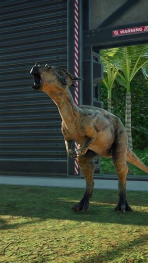 Dracorex VS Proceratosaurus