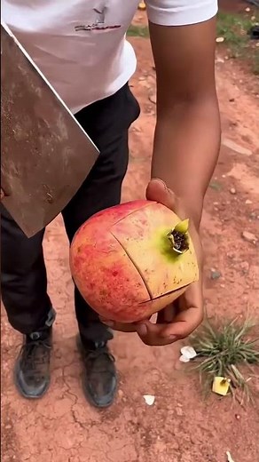The Easiest Way to Open a Pomegranate 🍎