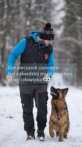 Co dalej z owczarkami niemieckimi? 👀 #owczarek #pies #kochamzwierzeta | Hodowla Owczarków Niemieckich Długowłosych - Inna niż wszystkie