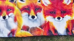 Custom Fox Blanket, 80" x 60" Flannel Cute Foxes Themed Stuffed Animal Green Blue Throw, Soft Nap Throw Blanket for Boys Girls Women Fox Lovers Gifts