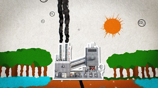 What is decomposition and how does the carbon cycle work for GCSE Biology? - BBC Bitesize