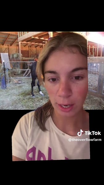 My Saddle Club Inspired Ponies: Patch and Bell