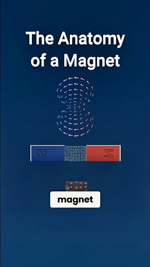 The Anatomy of a Magnet | Magnets Explained #shorts #science #magnet