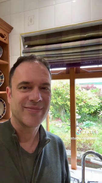 Transforming Your Garden View with Hosta and Goatsbeard