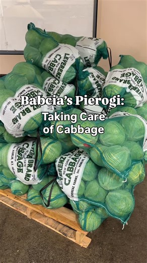 567 reactions · 44 shares | Babcia’s doesn’t play, they’re taking care of business all year long 塞 Stop by @babciaspierogibuffalo at The Market to pick up your fresh pierogi and sauerkraut today! | The Broadway Market | Facebook