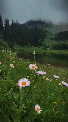 #savetf2 #tf2 #teamfortress2 #tf2spy #tf2heavy #tf2engineer #tf2soldier #tf2pyro #tf2demoman #tf2medic #tf2scout #tf2pyro