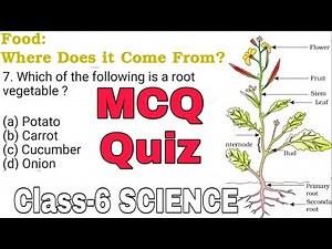 MCQ QUIZ Chapter-1 Food: Where does it come from? NCERT Class 6 SCIENCE Extra Question By-KV Teacher