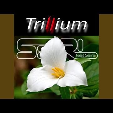 Trillium (feat. Sara) - Nightcore