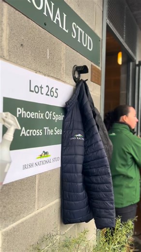 2.5K views · 135 reactions | Archie’s Sold!  Our first foal of the...