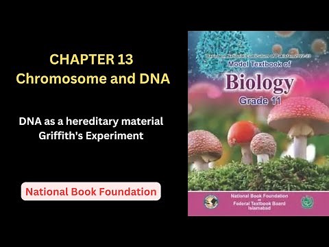 DNA as a hereditary material| Griffith's Experiment| Chapter 13|Class 11Biology|NBF