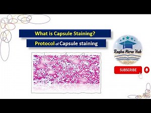 Capsule staining | Bacterial capsule staining | Capsule staining procedure #microbiology#laboratory