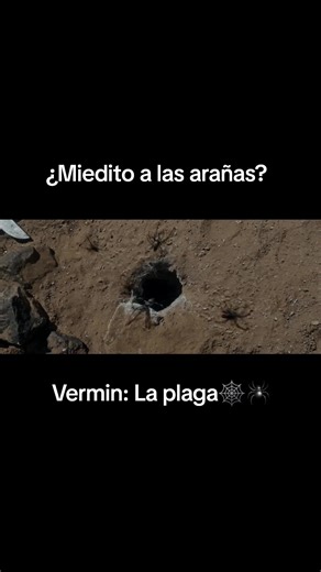 Vermin: La Plaga - Escena de terror con arañas 🕷
