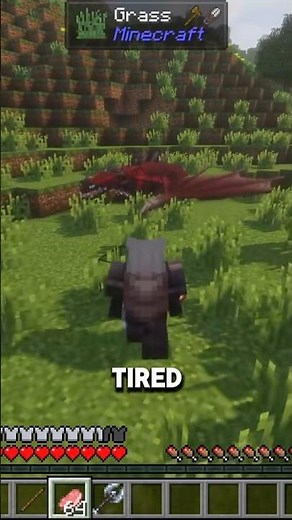 How To Tame Dragons HTTYD Mod #minecraft #nostalgia #howtotrainyourdragon #gaming #httyd #fyp