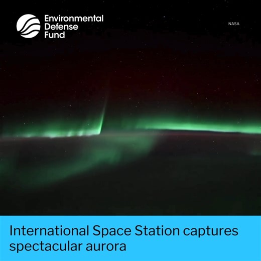 🛰️ 💫 The best view of the northern lights might be 250 miles above Earth. This spectacular timelapse of the aurora borealis was captured by astronauts aboard the International Space Station. According to the ISS, "These spectacular light shows occur when charged particles from the Sun collide with Earth’s magnetosphere. The result is glowing aurora that are constantly moving, creating an array of bands that fold, swirl, and ripple." #ISS #NorthernLights #Aurora #AuroraBorealis #Earth #Space #E