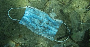 Nearly 1.6 billion disposable masks polluted oceans in 2020, will take 450 years to decompose