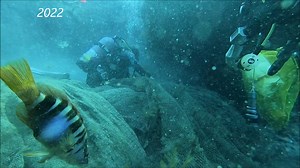 189 reactions · 54 shares | A Trawling Ghost Net was removed 25 years...