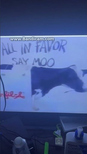 Chick-Fil-A Cow Moo Commercial PBS (2005)