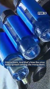 Weather plays part in West Nile virus cases exploding in Utah mosquitoes