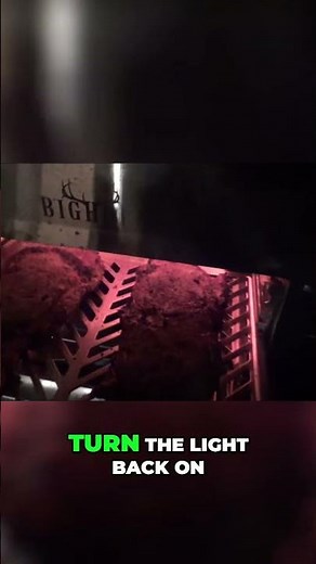 Steaks Sizzle Perfectly on Infrared Grill #shorts