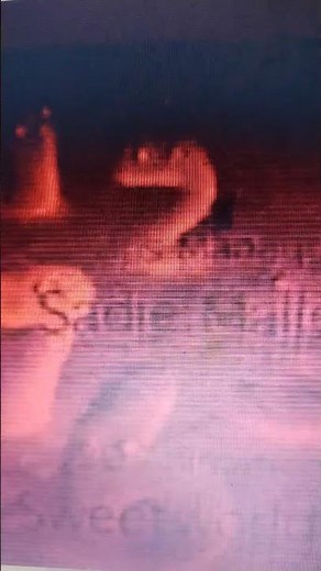 Numberjacks Lost Episode Credits With Pokemon Horizons Music #numberjacks #numbermon #numberjack