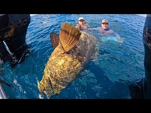 This fish was bigger than 2 PEOPLE!!! {Catch Clean Cook} COCONUT CRUSTED FISH FILLET