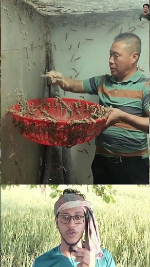 Live Cricket Moment #cricket #farming #funny #shorts #youtubeshorts