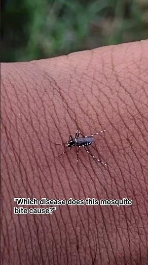 Aedes mosquito #naturein_focus #natureobservations #naturephotography #travelwithwildeater#facts